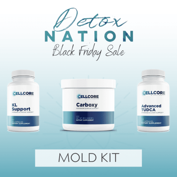 Black Friday Special: Mold Kit