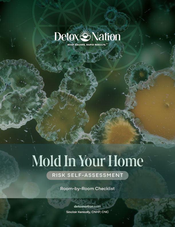 Home Mold Risk Self-Assessment Room-by-Room Checklist