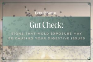 Gut Check: Signs That Mold Exposure May Be Causing Your Digestive Issues