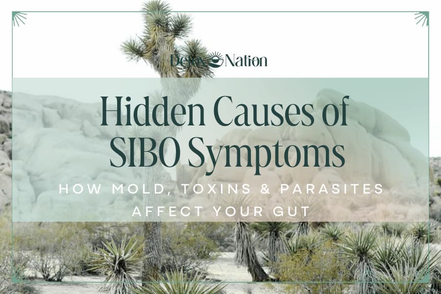 Hidden Causes of SIBO Symptoms: How Mold, Toxins, and Parasites Affect Your Gut