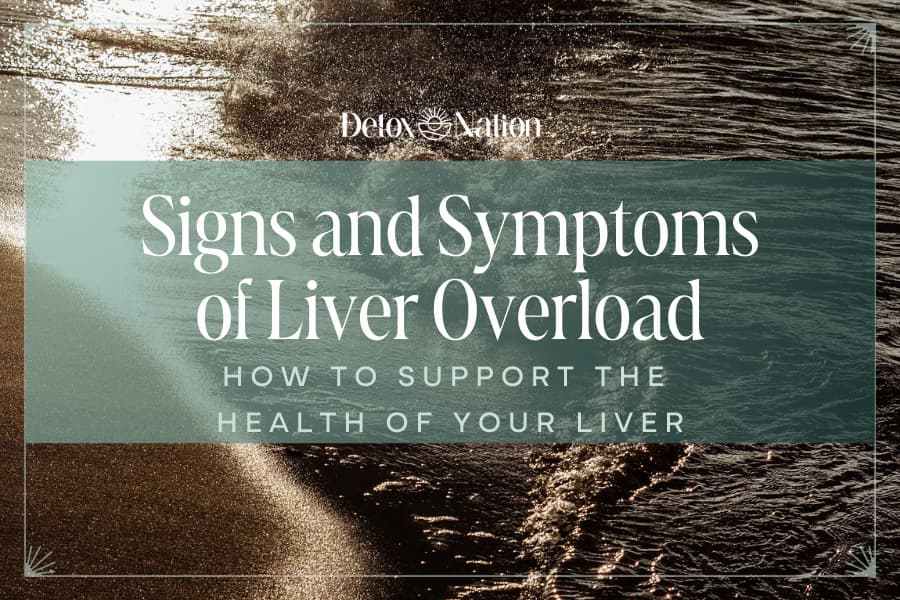 Signs and Symptoms of Liver Overload and How to Support the Health of Your Liver