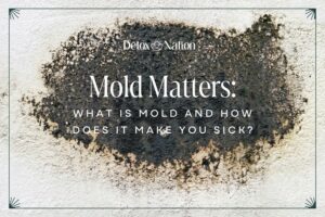 MOLD MATTERS: What is Mold and How does it make you sick?