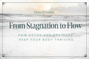 From Stagnation to Flow: How Detox and Drainage Keep Your Body Thriving