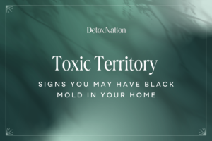 Toxic Territory: Signs You May Have Black Mold in Your Home