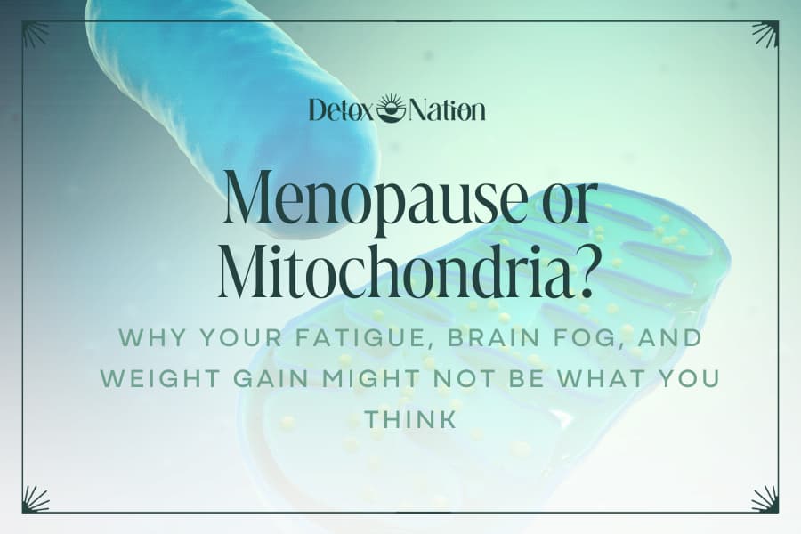 Menopause or Mitochondria? Why Your Fatigue, Brain Fog, and Weight Gain Might Not Be What You Think