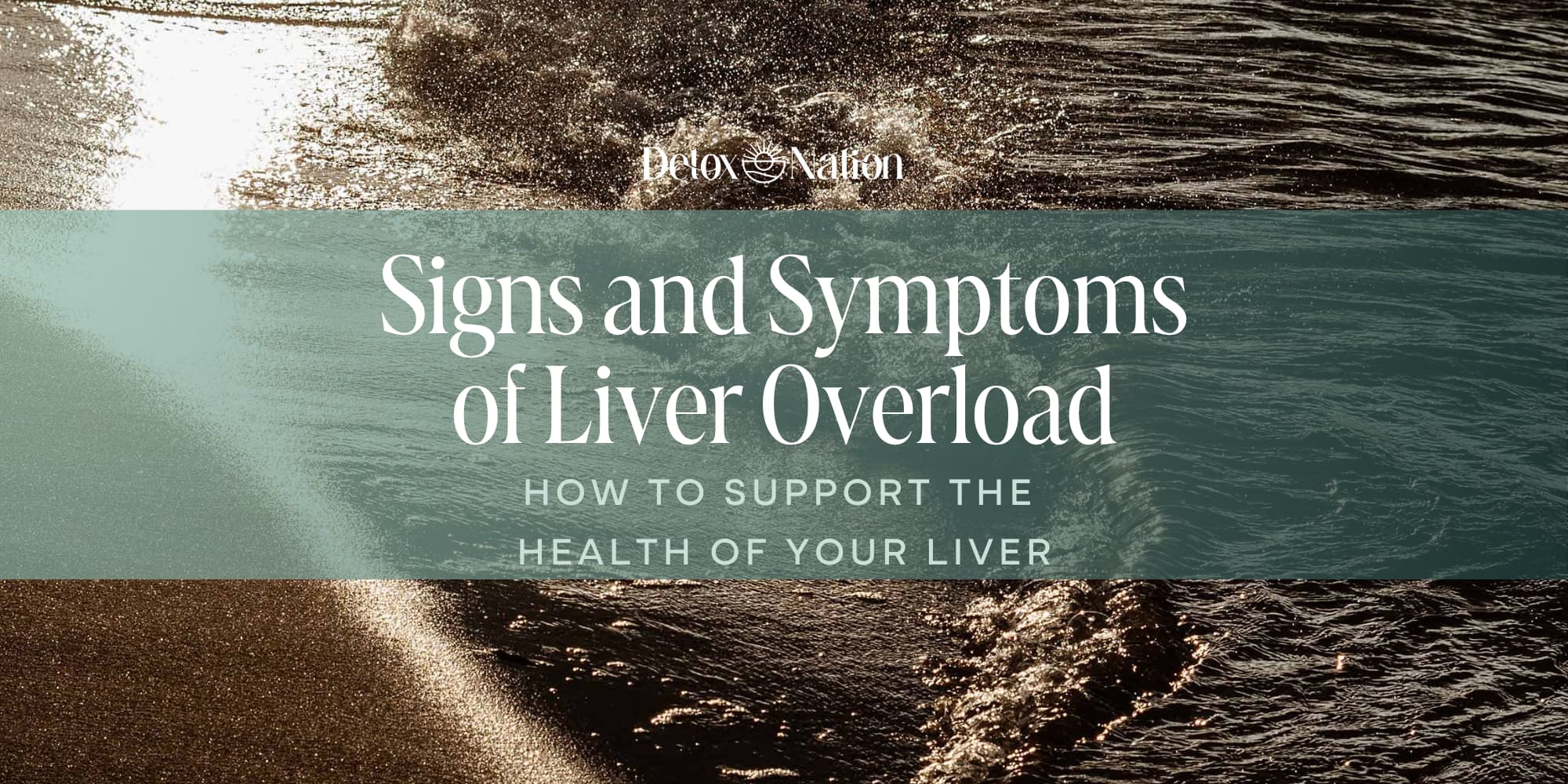 Signs and Symptoms of Liver Overload and How to Support the Health of Your Liver