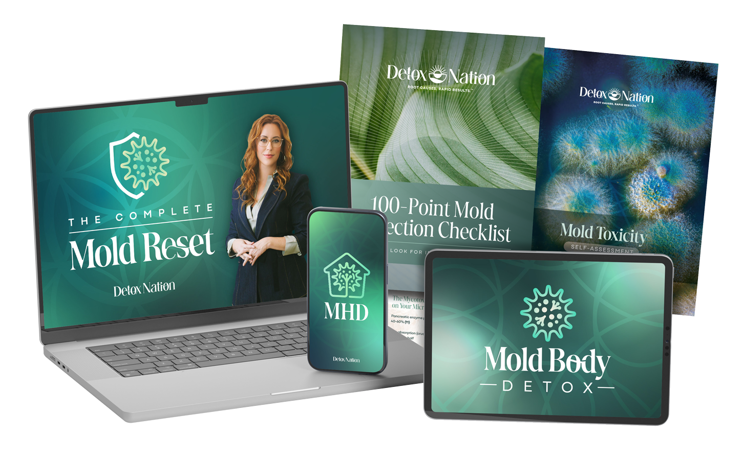 Complete Mold Reset Program Mockup